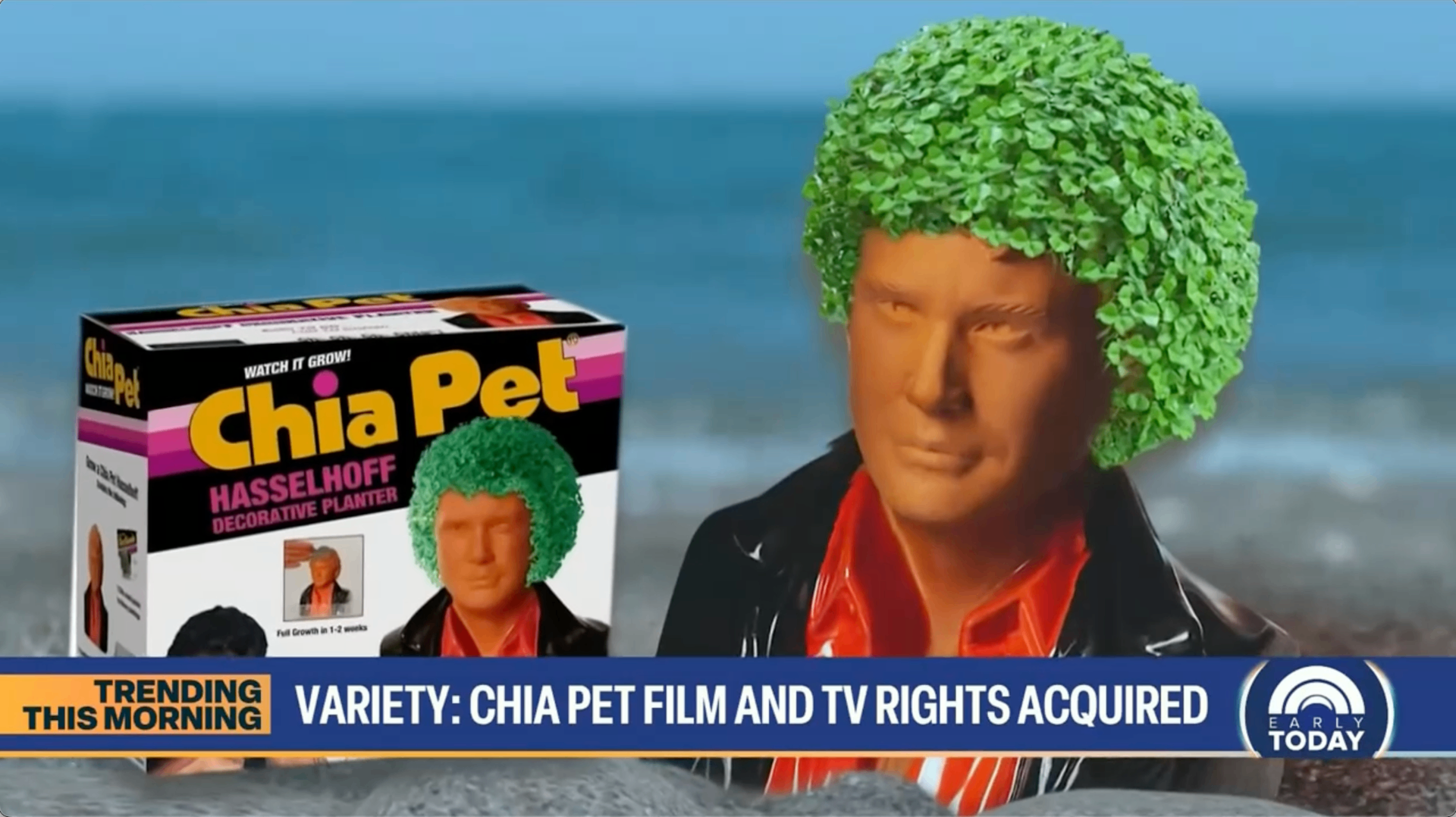 NBC TODAY Show — Chia Pet Hasselhoff decorative planter featured in 'Trending This Morning' segment