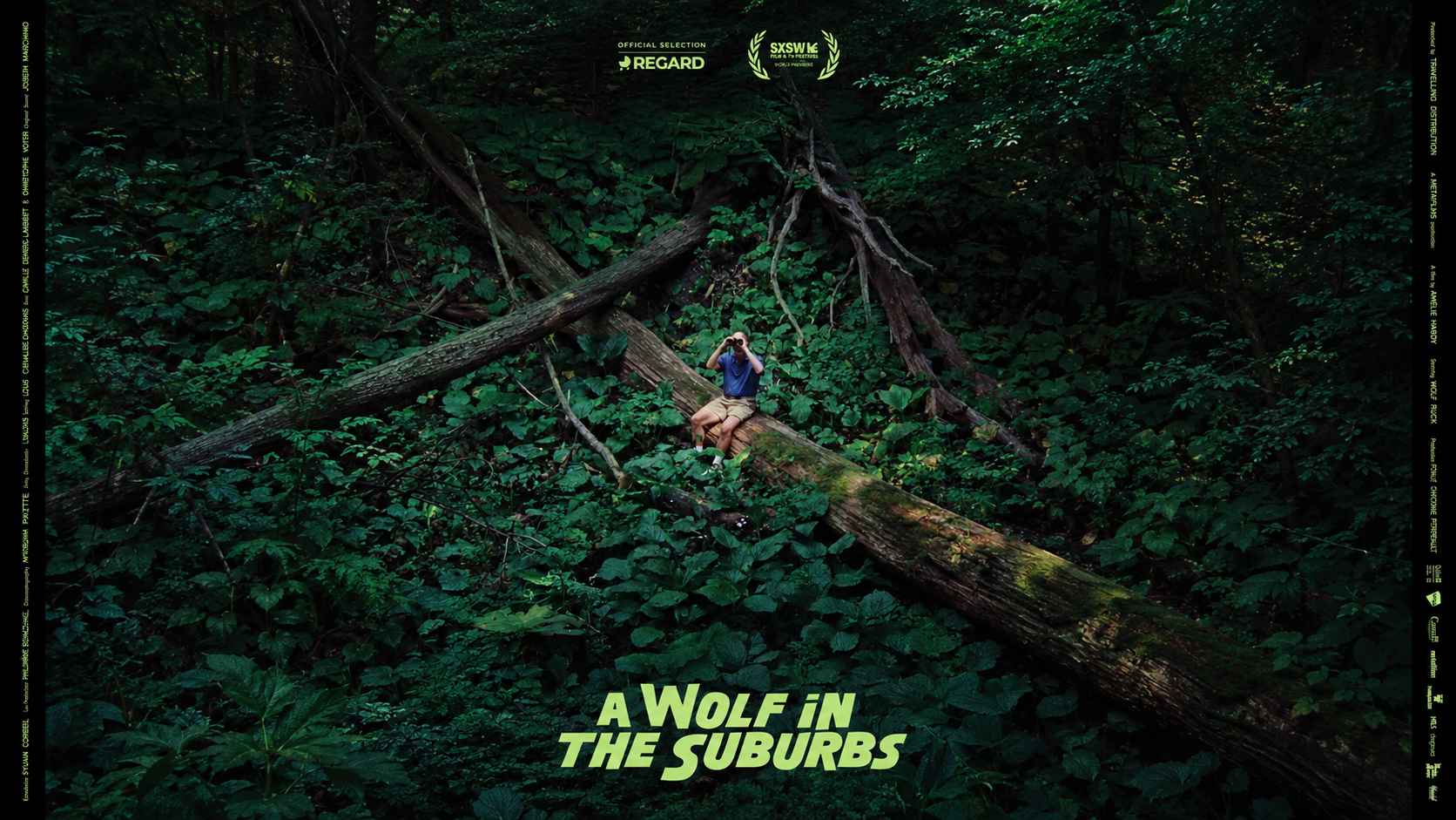 A Wolf in the Suburbs — a man watches through binoculars from a fallen log in dense woodland