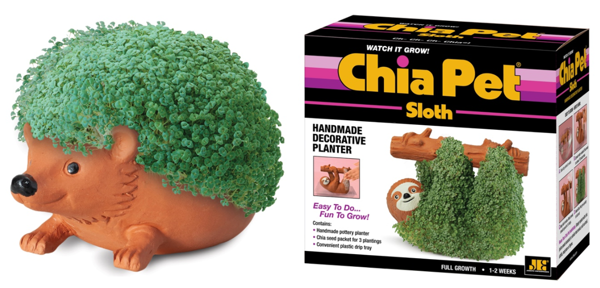 Chia Pet® hedgehog planter and Chia Pet® Sloth boxed product — iconic pop culture brand