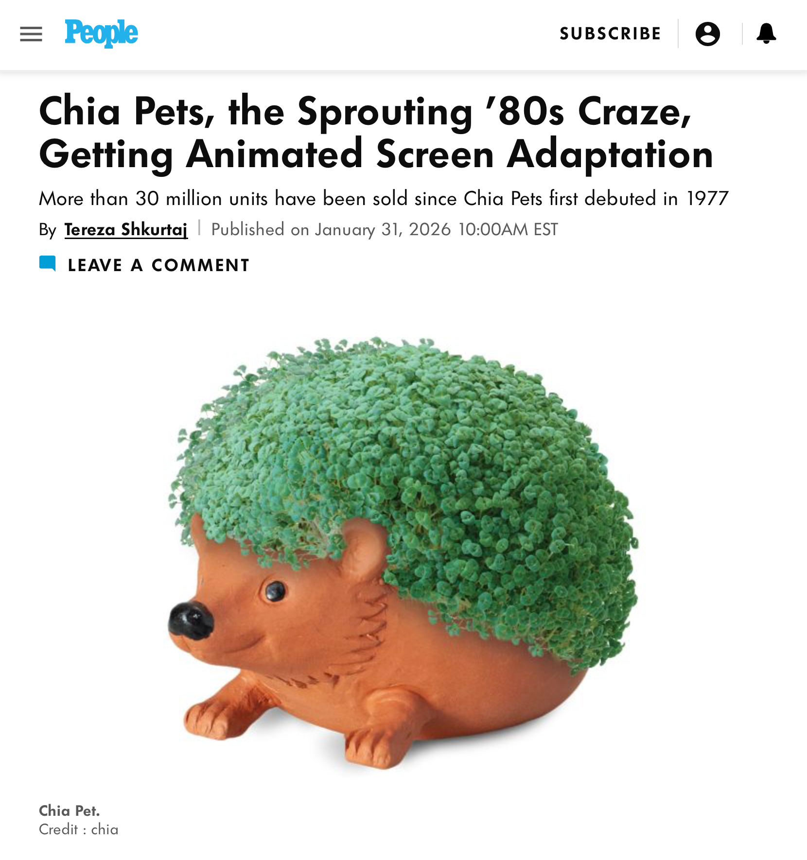People magazine feature: Chia Pets, the Sprouting '80s Craze, Getting Animated Screen Adaptation